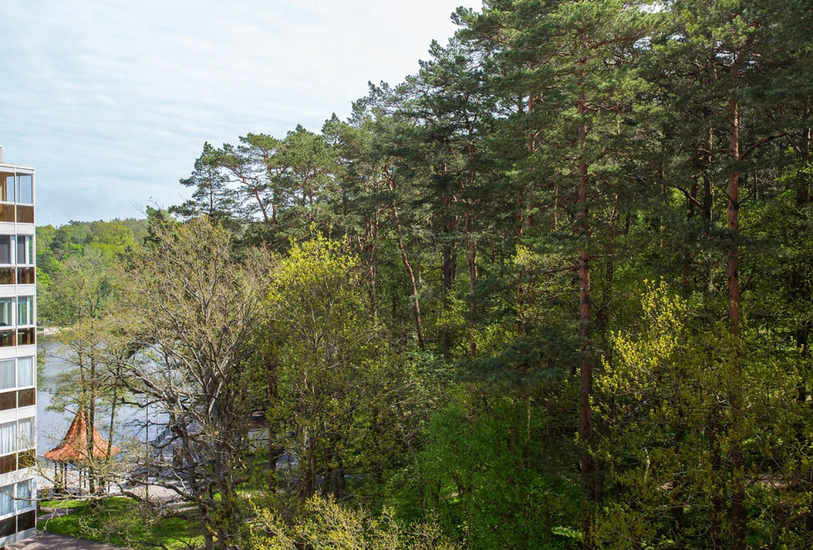 Апартаменты Аврора с видом на лес и озеро
