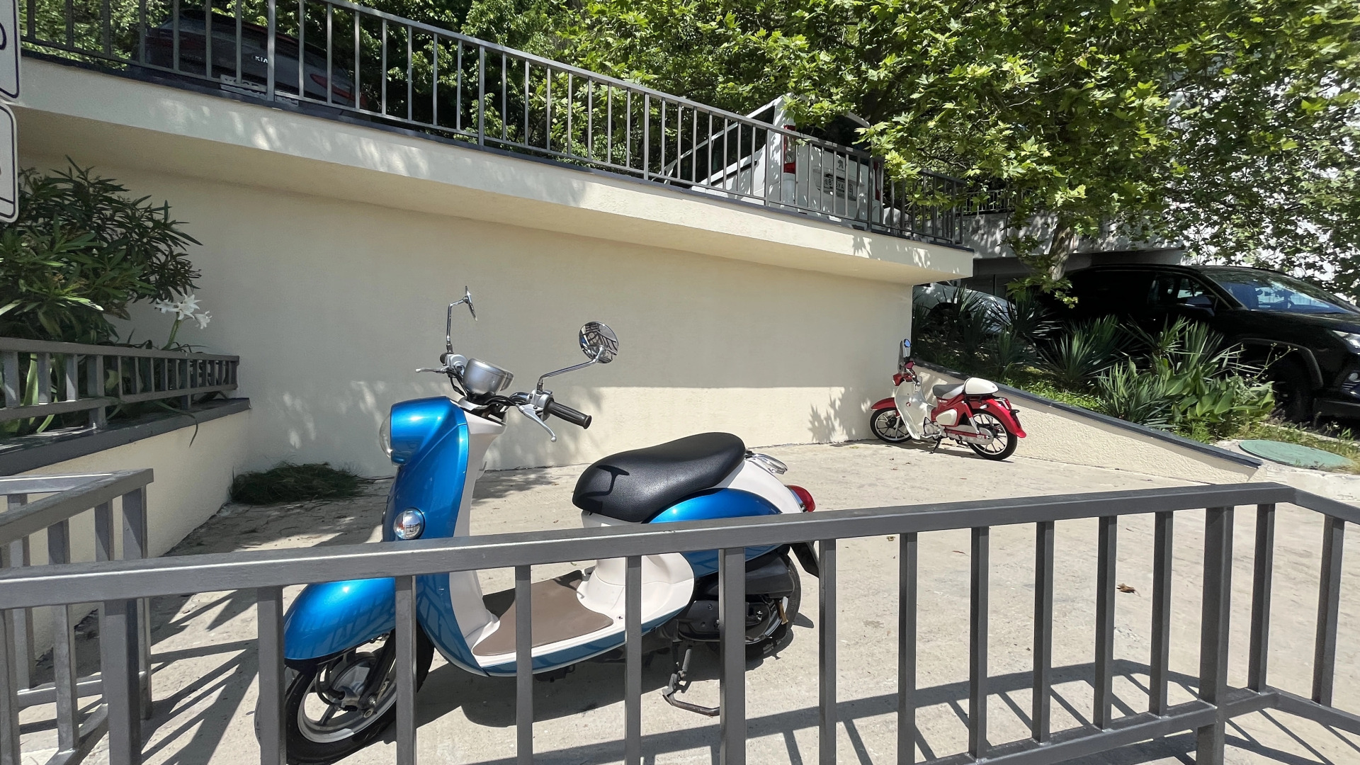 Апартаменты Альфа Заря