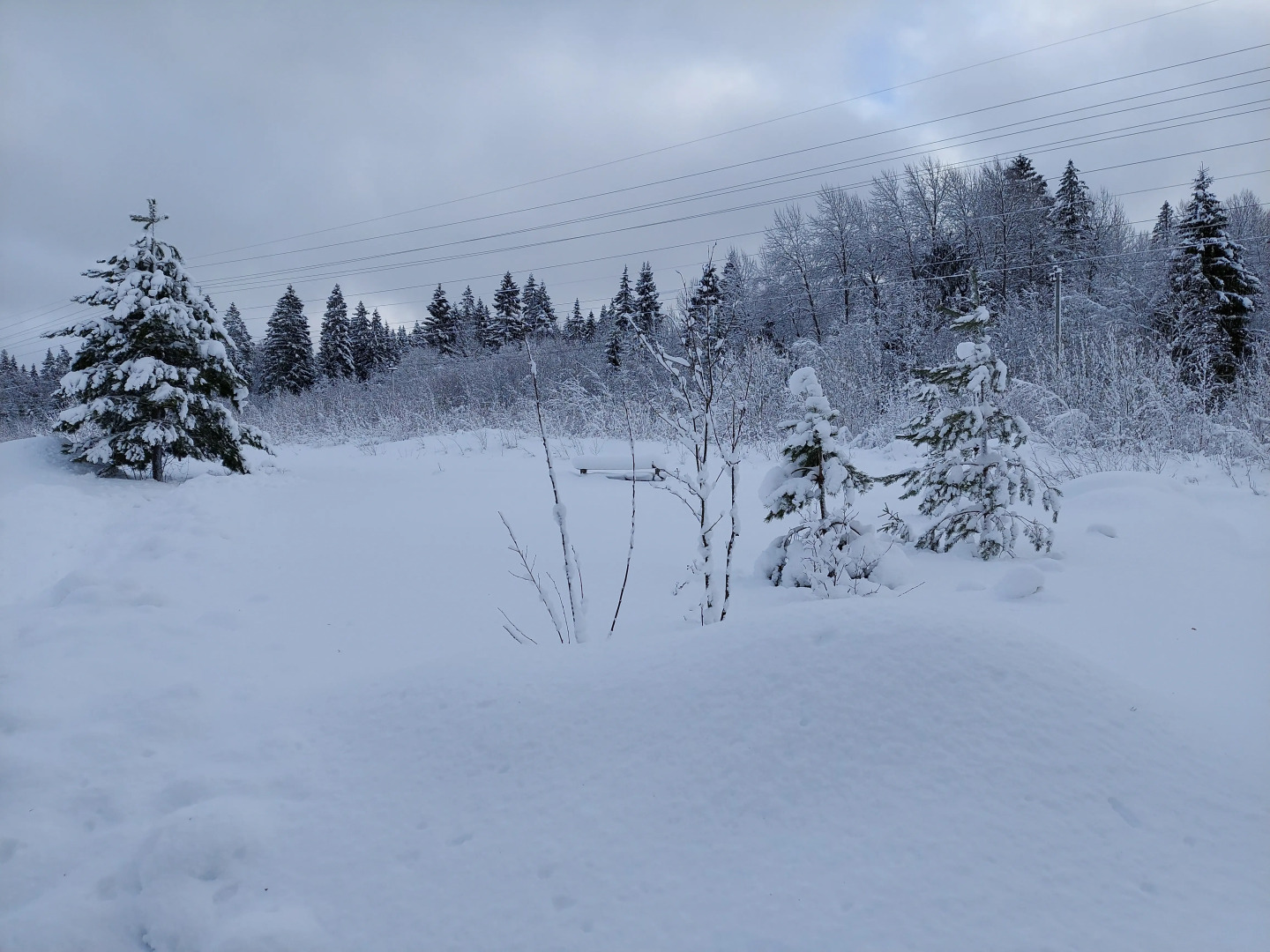 Коттедж Weekend in Korobitsino