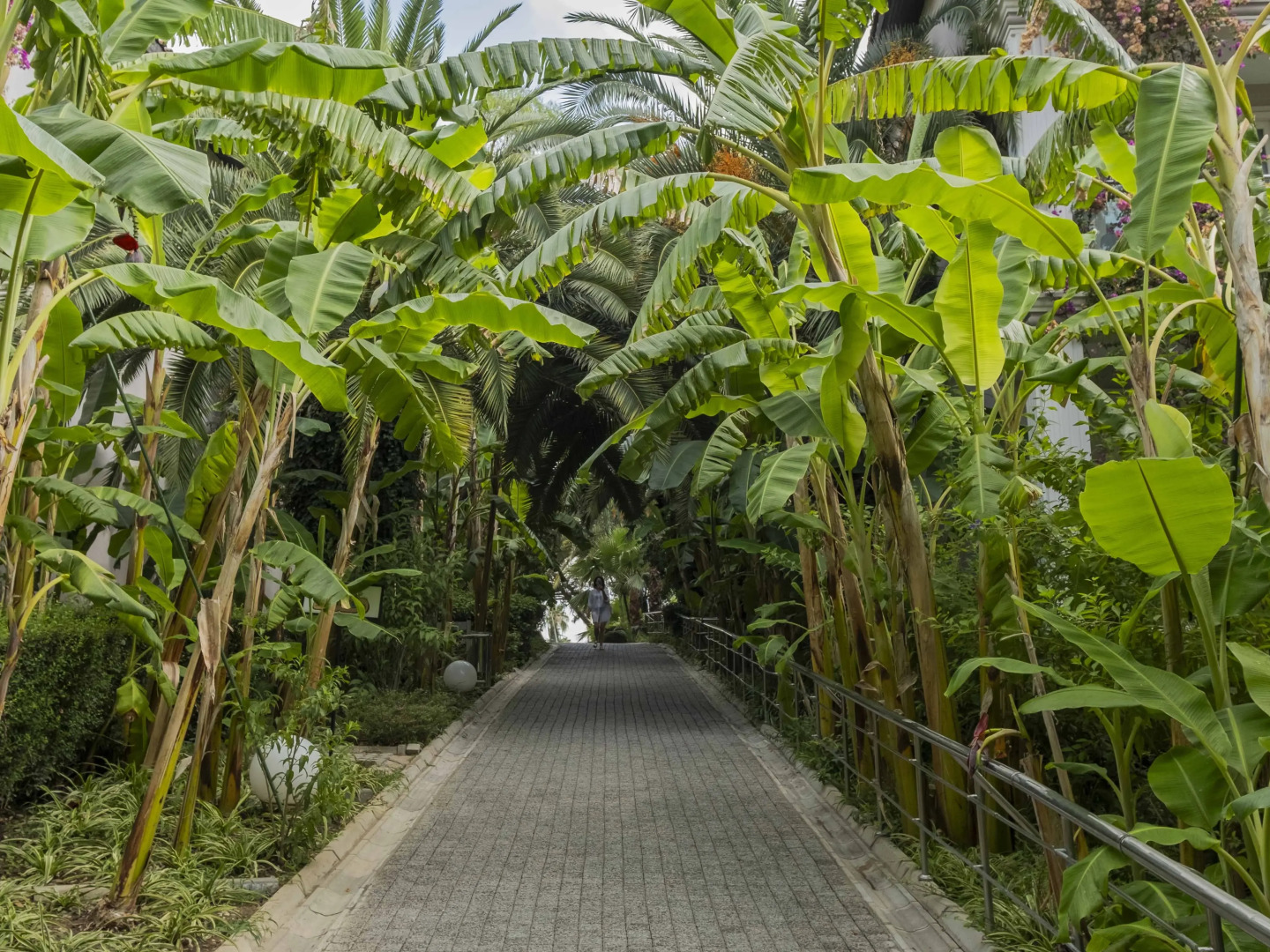 Sealife Buket Resort & Beach Hotel – All Inclusive