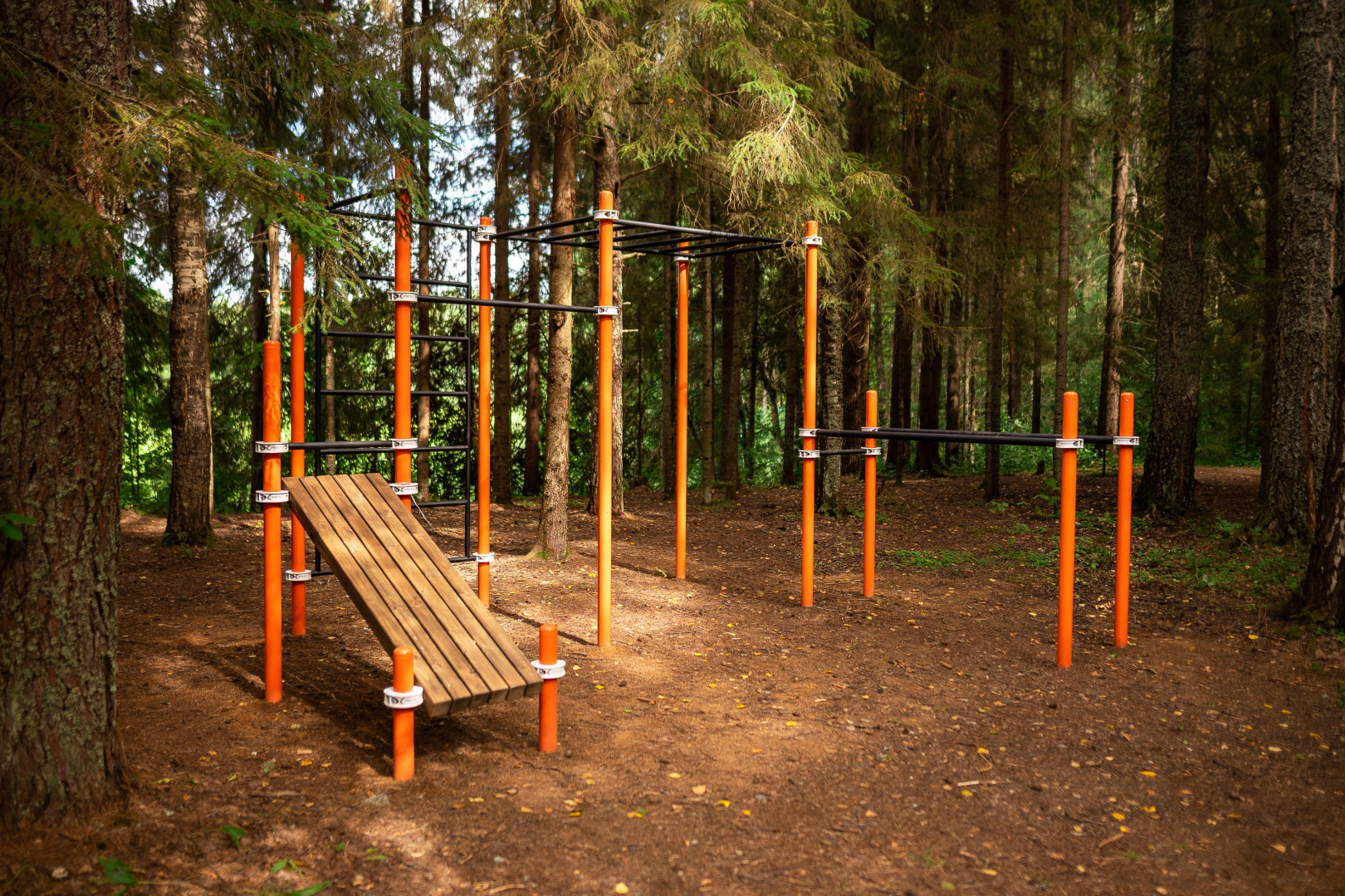 Шале Валдайская Робинзонада