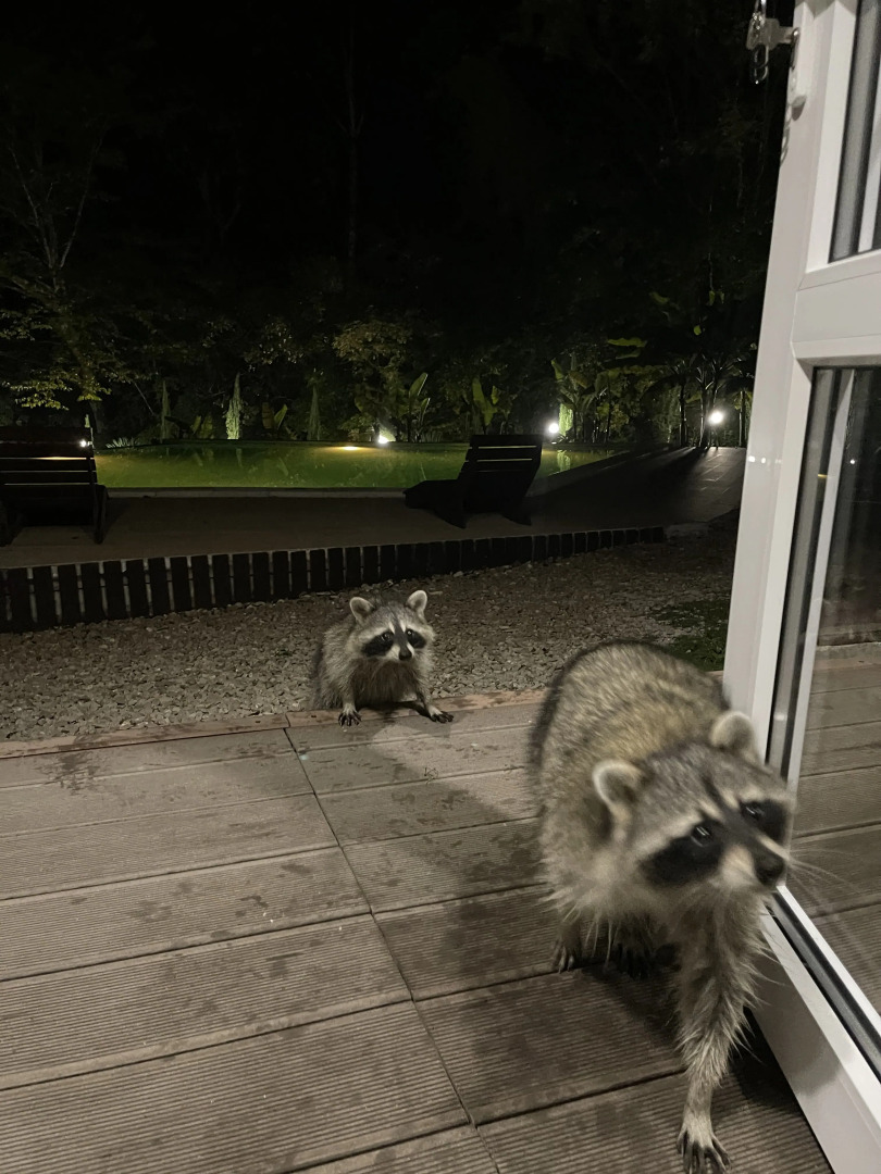 Гостевой дом Bungalow