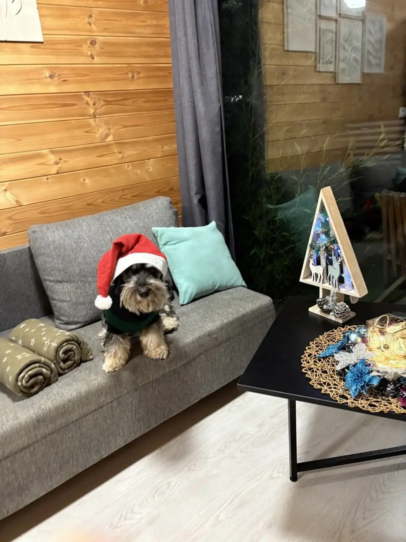 Коттедж Под звездами Комфорт