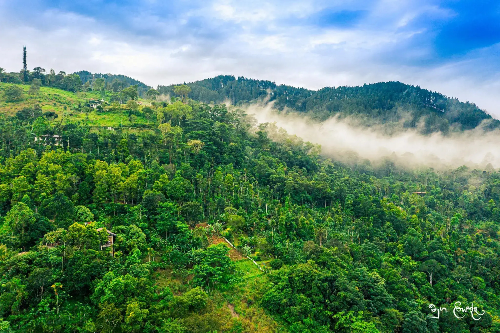 Ночлег и завтрак (B&B) Villa Nugaliyadda