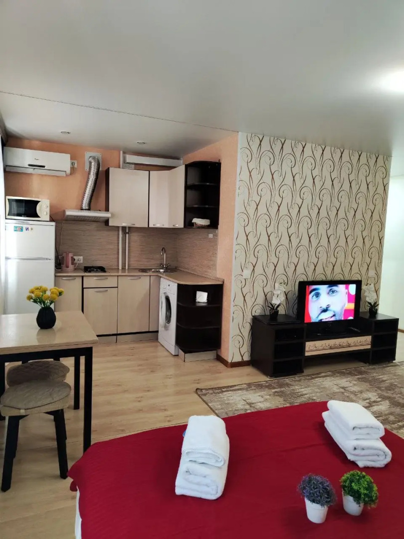 Апартаменты 1-комнатные в Центре Города на Ленина