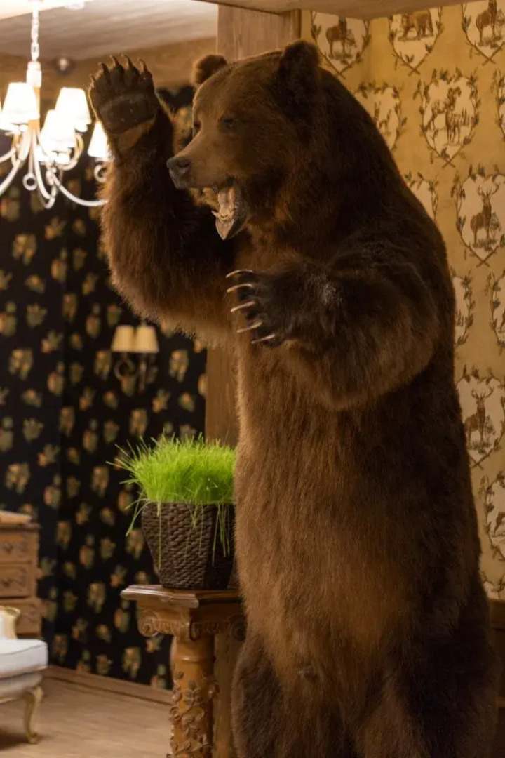 Отель Охотничьи cезоны