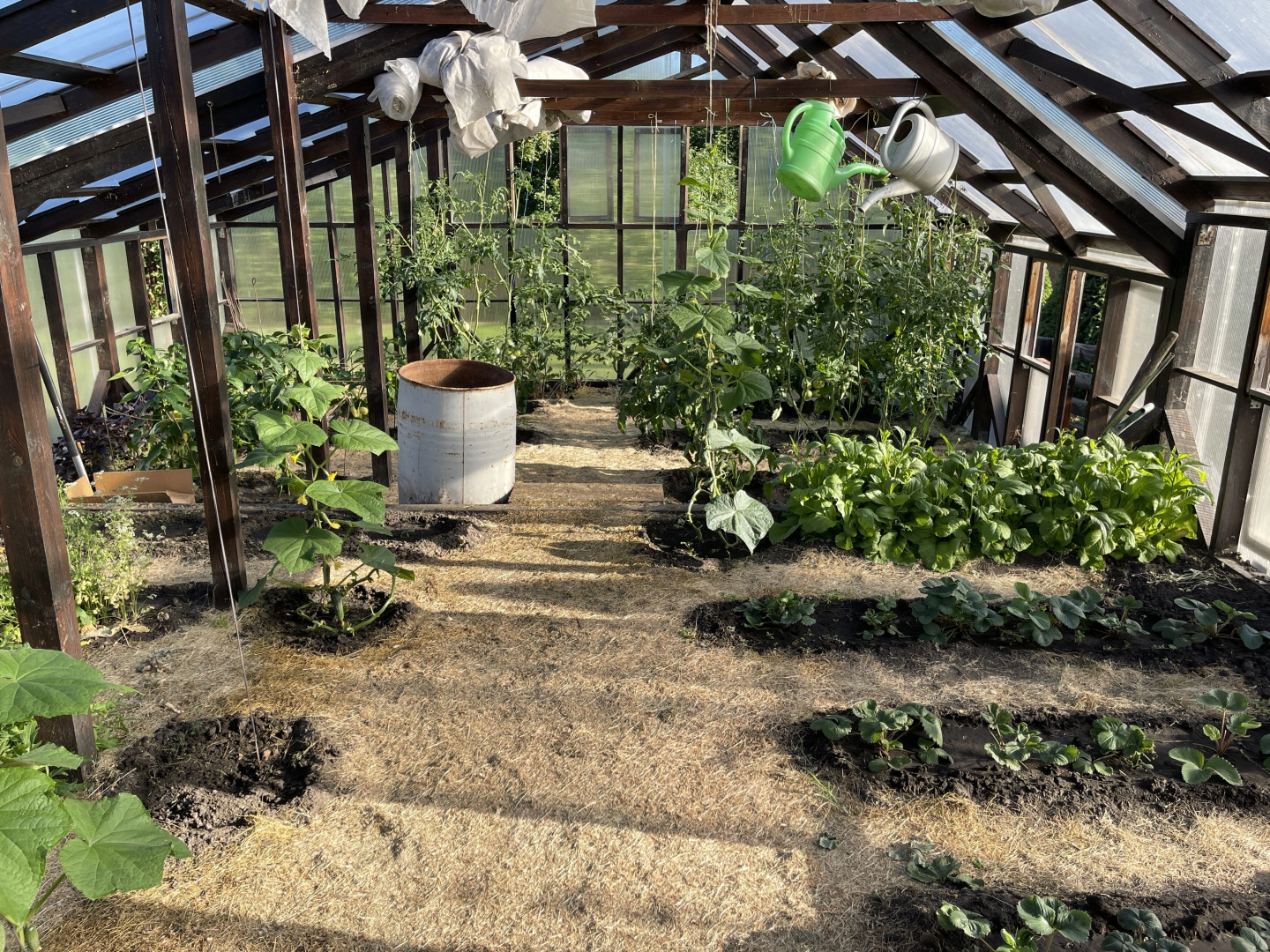 Дом Усадьба Тишина на Дону Дом 2