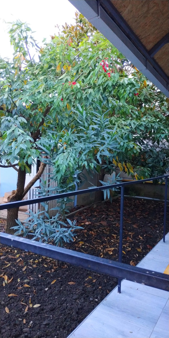 Гостевой дом МореТур