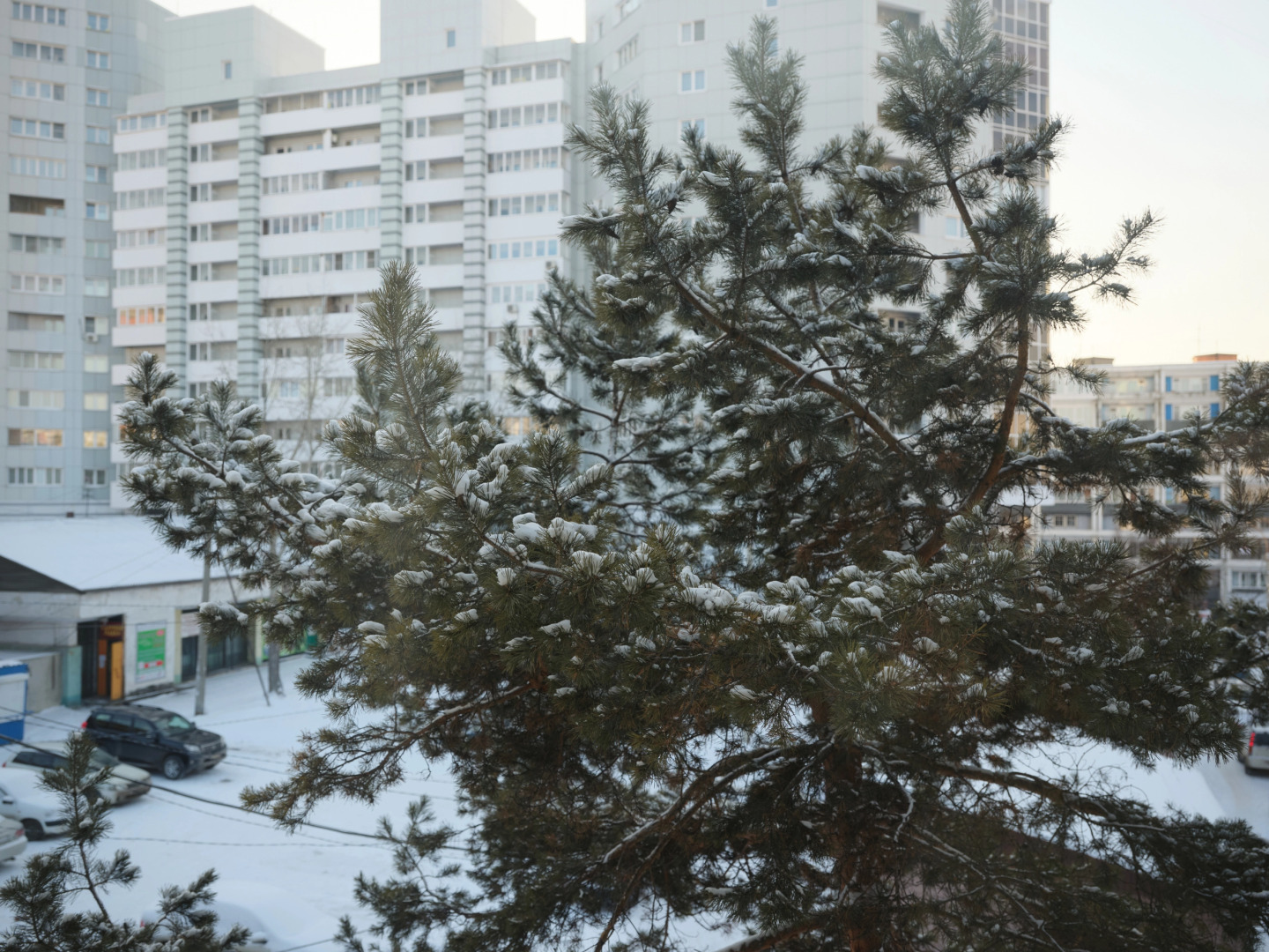 Апартаменты GreenDay