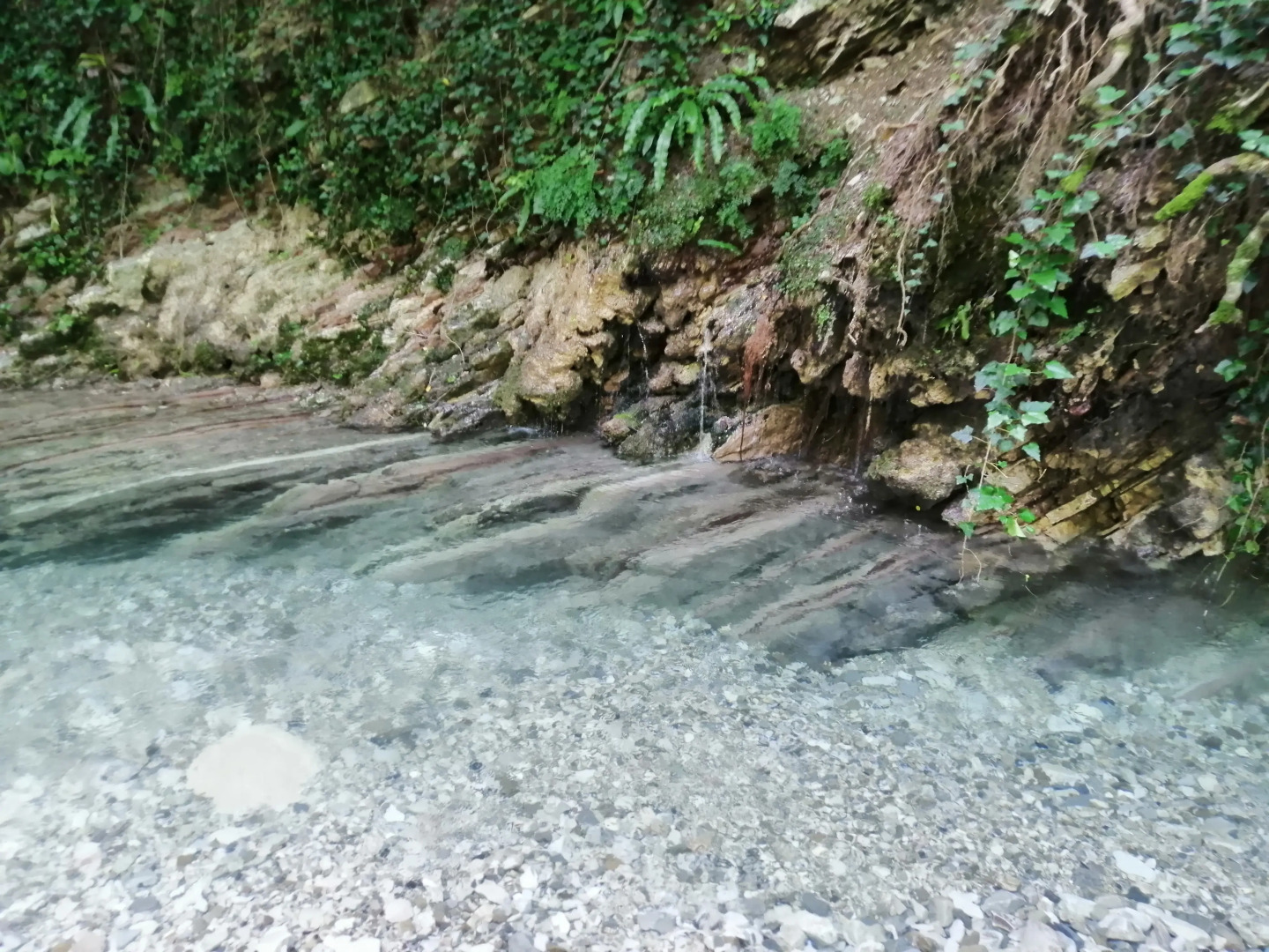 Гостевой дом Сола