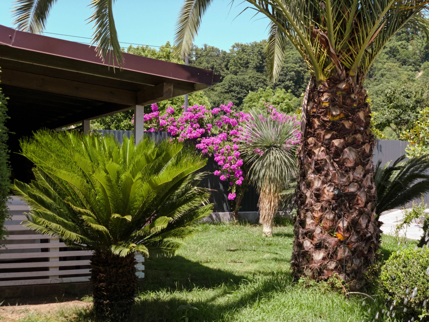 Отель Грант