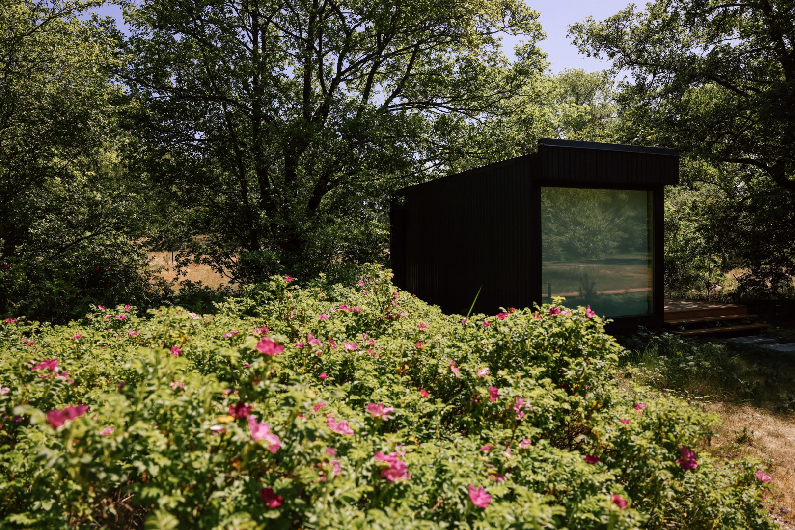 Глэмпинг Викингуд