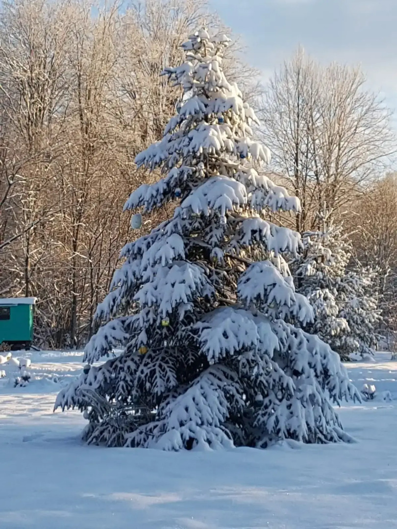 Звездная Долина