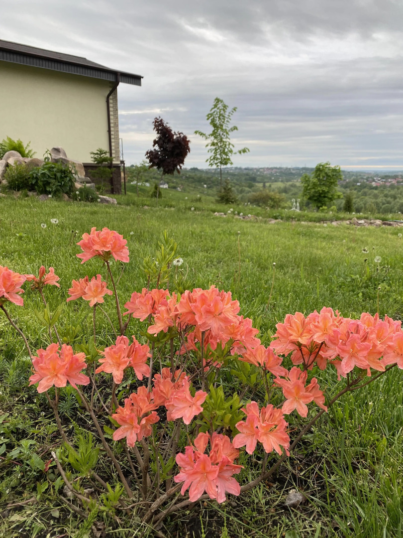 Дом Art House PARLE