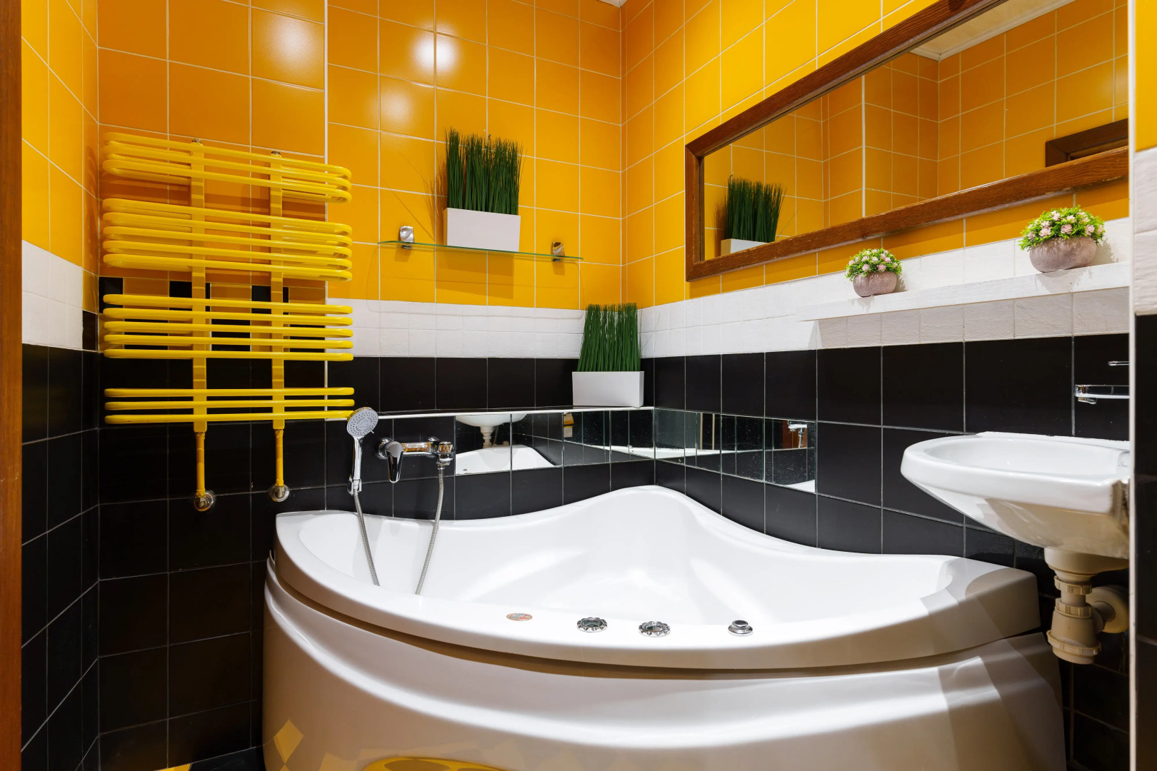 Квартира В гостях у Сурикатов