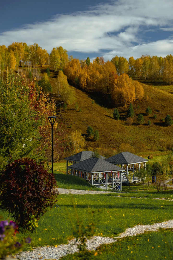 Шале Алтай Пэлас