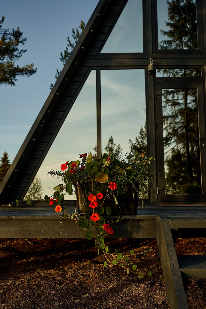 Гостевой дом Dream House in Karelia