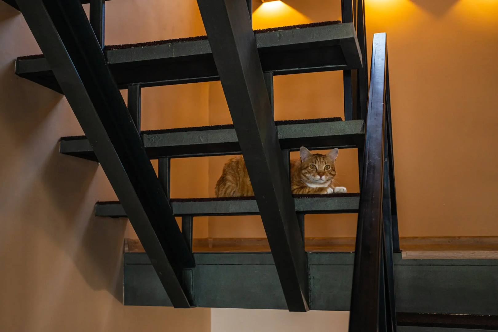 Гостевой Дом Рыжий пони