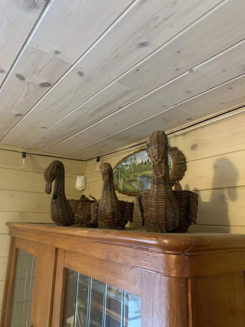 Частный дом Дом Лебедевых