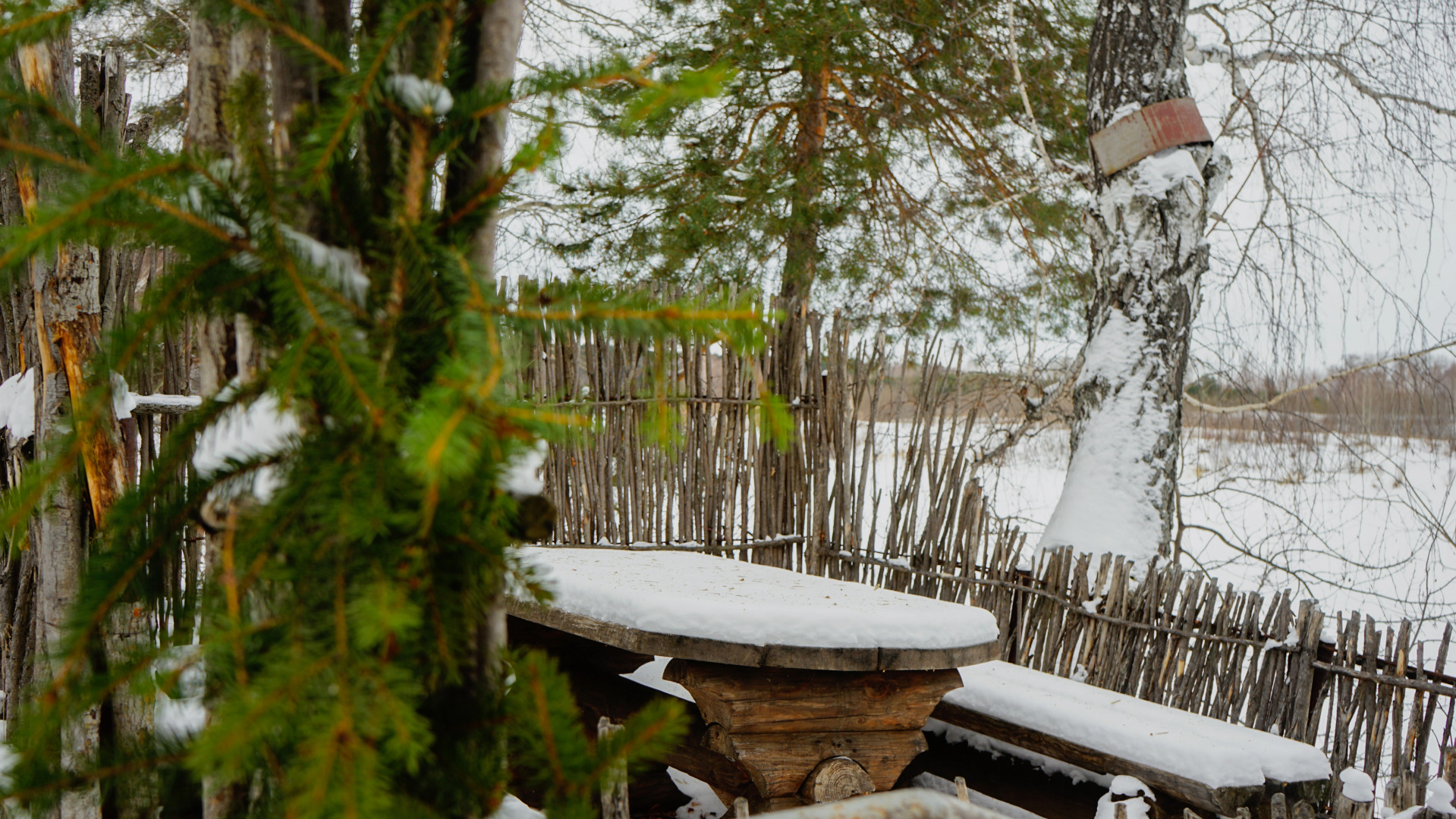 Лесная Сказка Отель