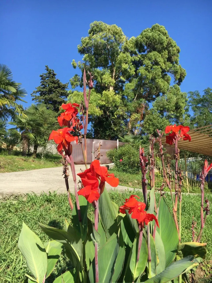 Апарт-Отель VillaRomano