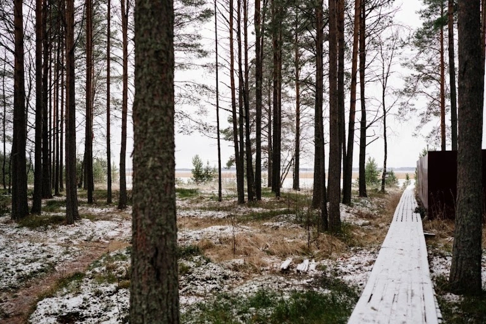 Гостевой дом переулок Дачный Сяпся