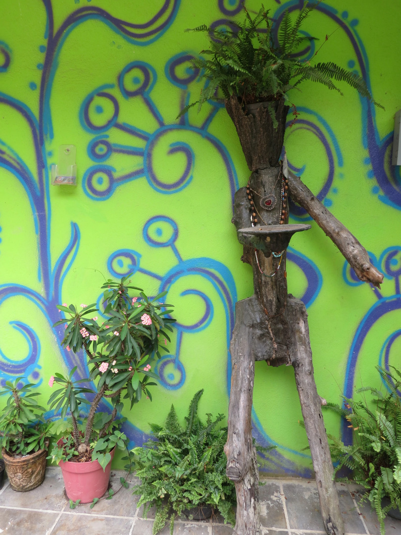 Отель Casa Verde Xilitla by Rotamundos