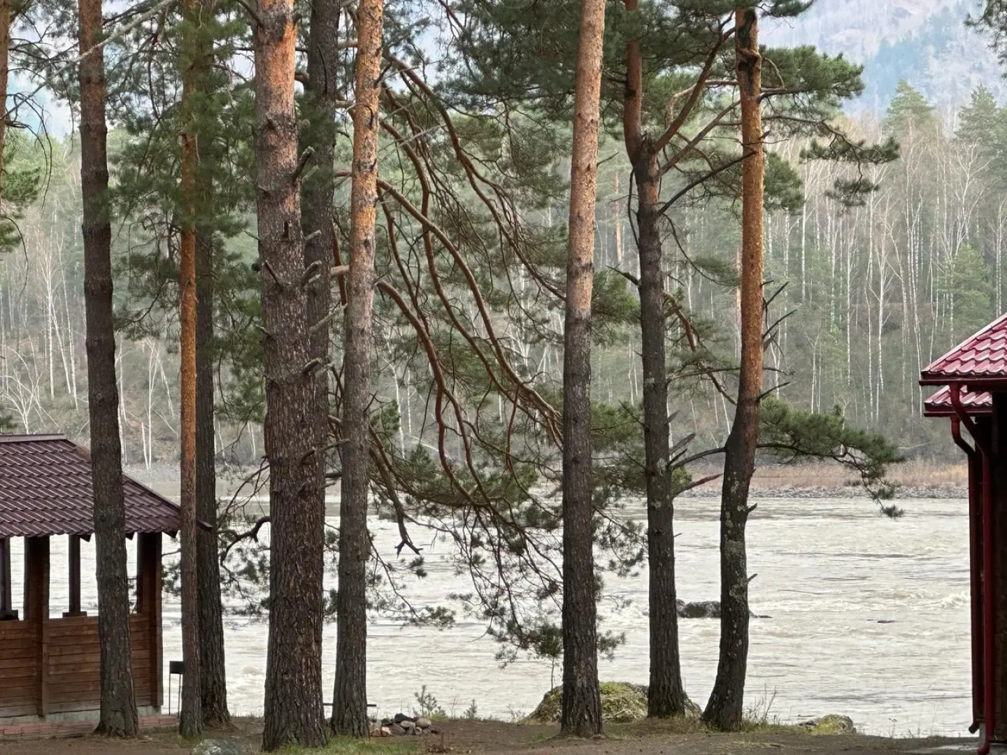 Отель Парк-отель Пилот