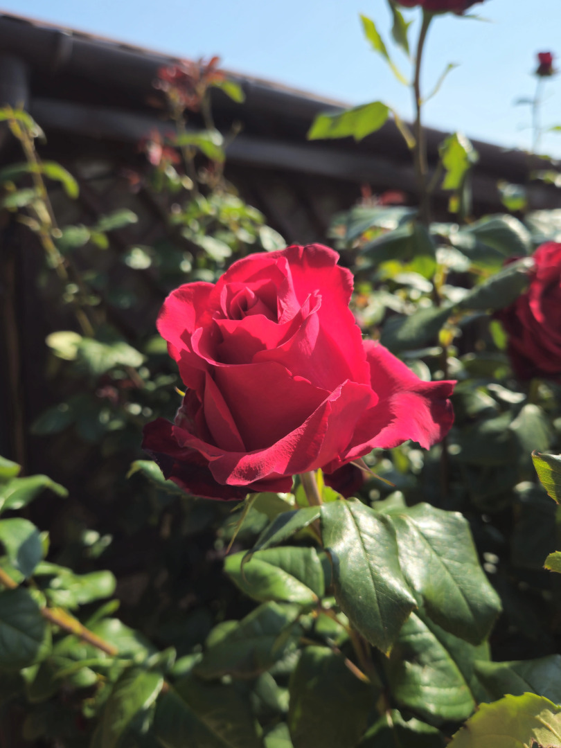 Апартаменты Holiday Home at Frunze