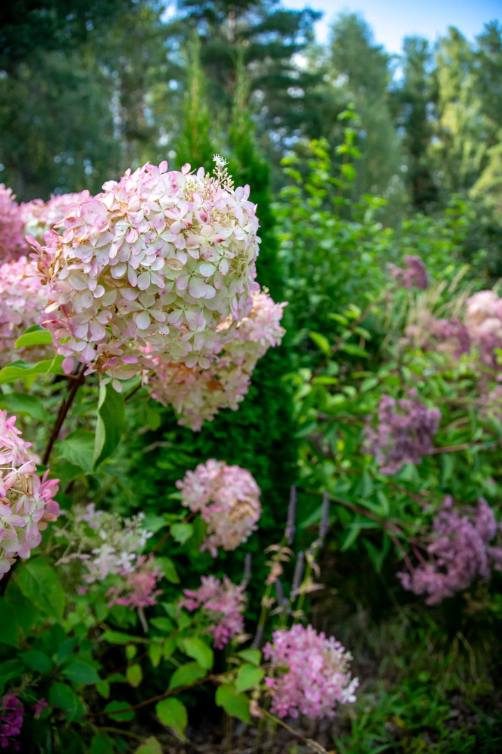 База отдыха Парк отель Завидово