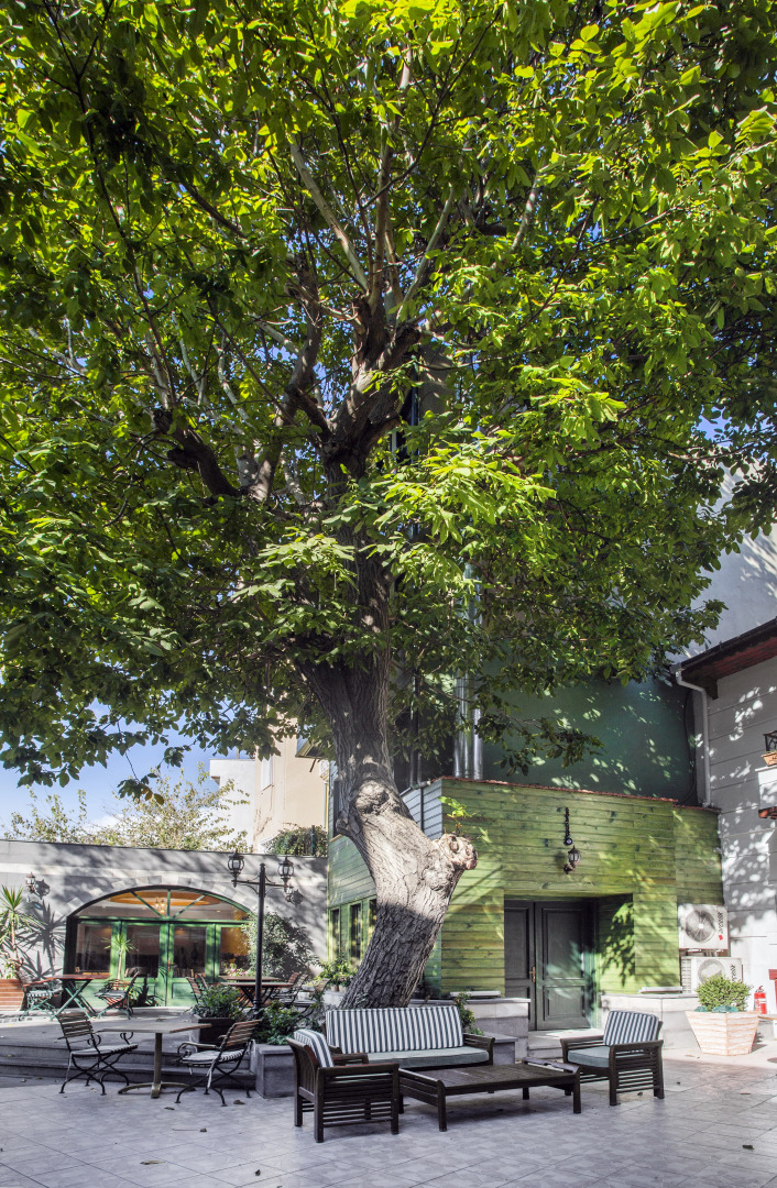 Garden House Hotel - Special Class