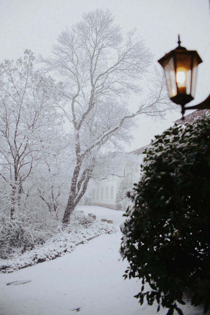 Меблированные Комнаты Villa 7