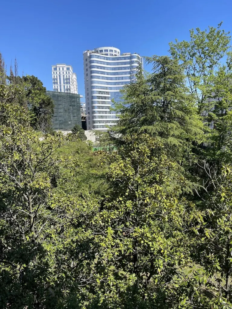 Апартаменты Светлана-Центр у моря с видом на сад магнолий