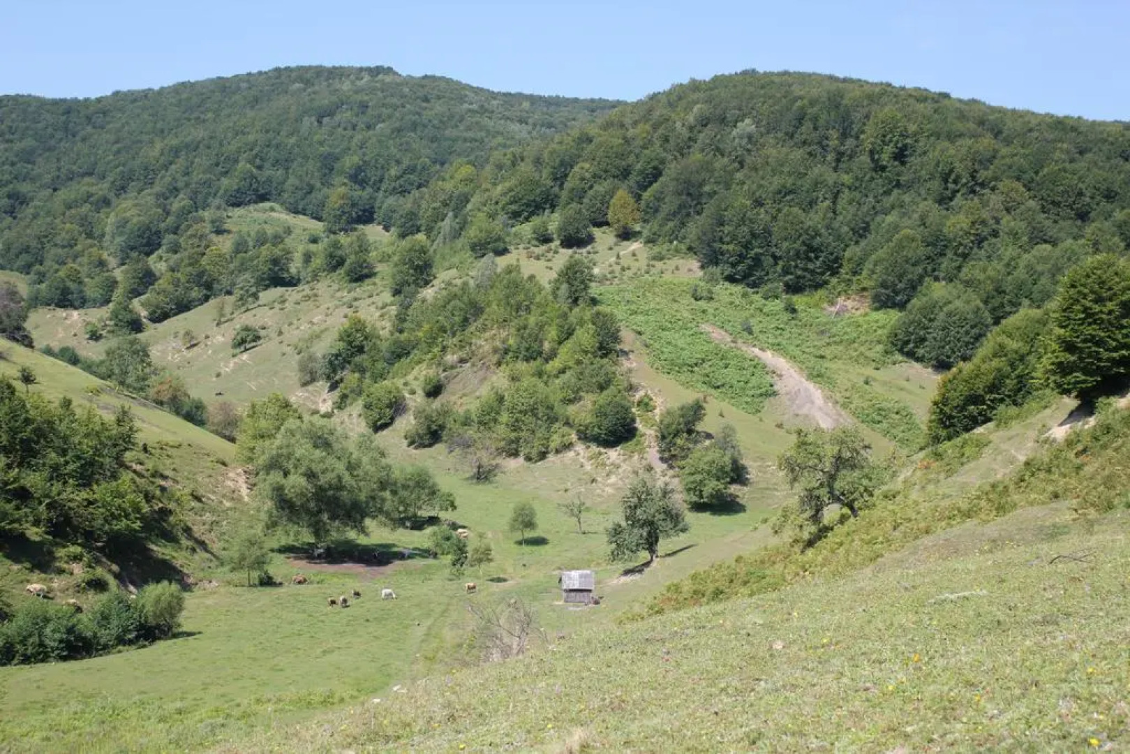 База Отдыха Мир Солнца