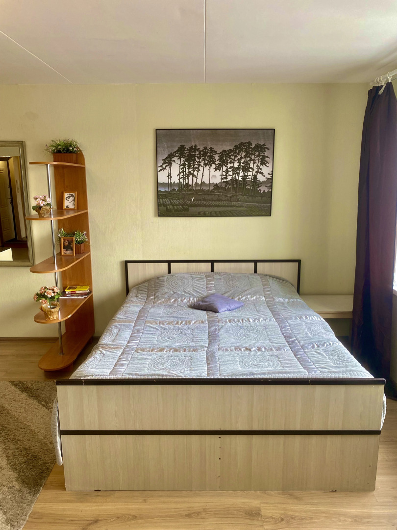 Апартаменты Белые Ночи 1-Комнатная Студия на Озеровых