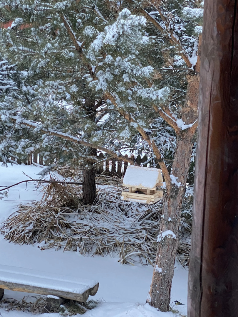 Гостевой дом Вершина