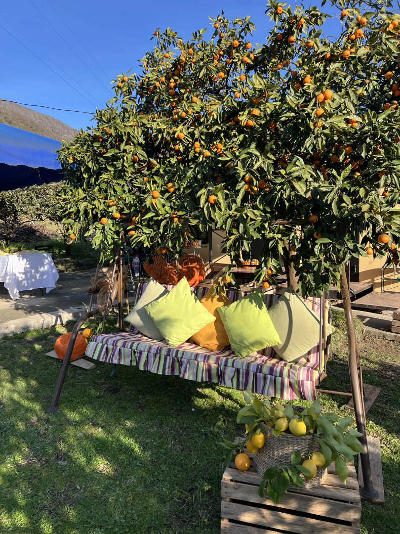 Частный дом Мандариновый дворик