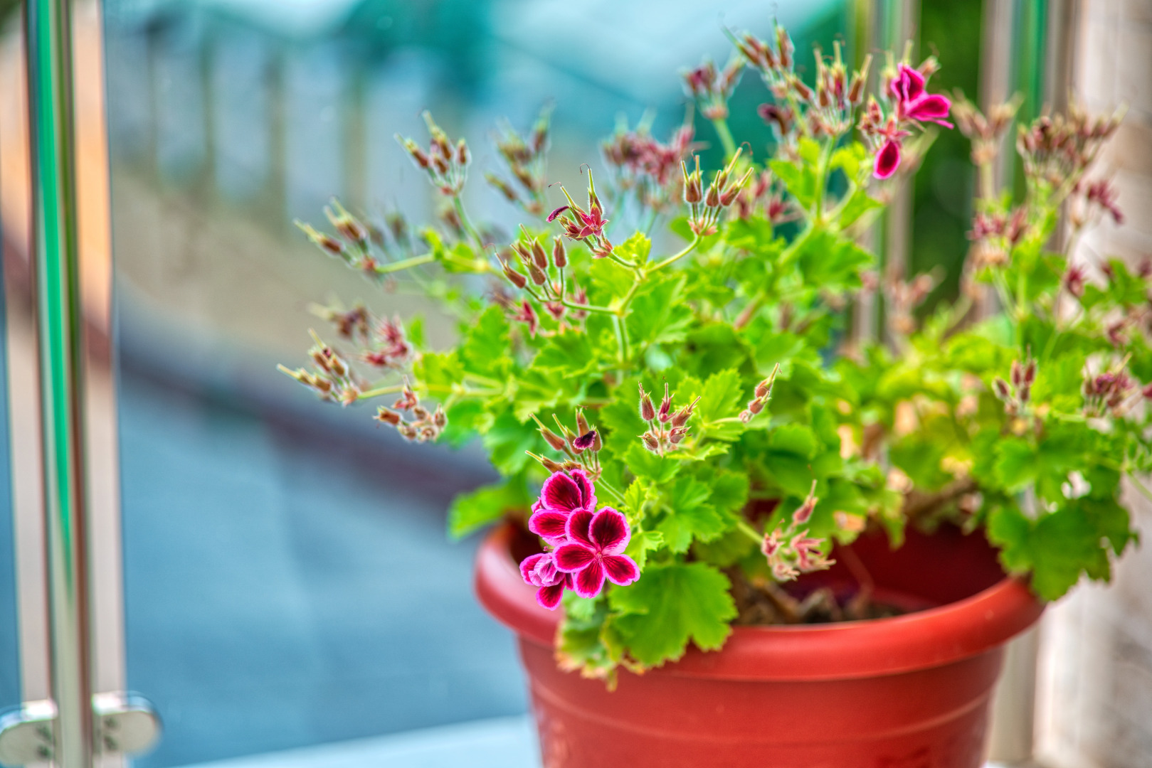 Гостевой дом АиСТ