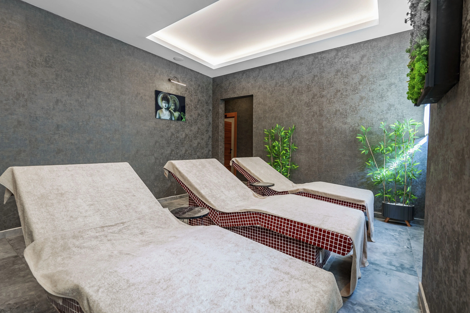 Library Hotel Erciyes