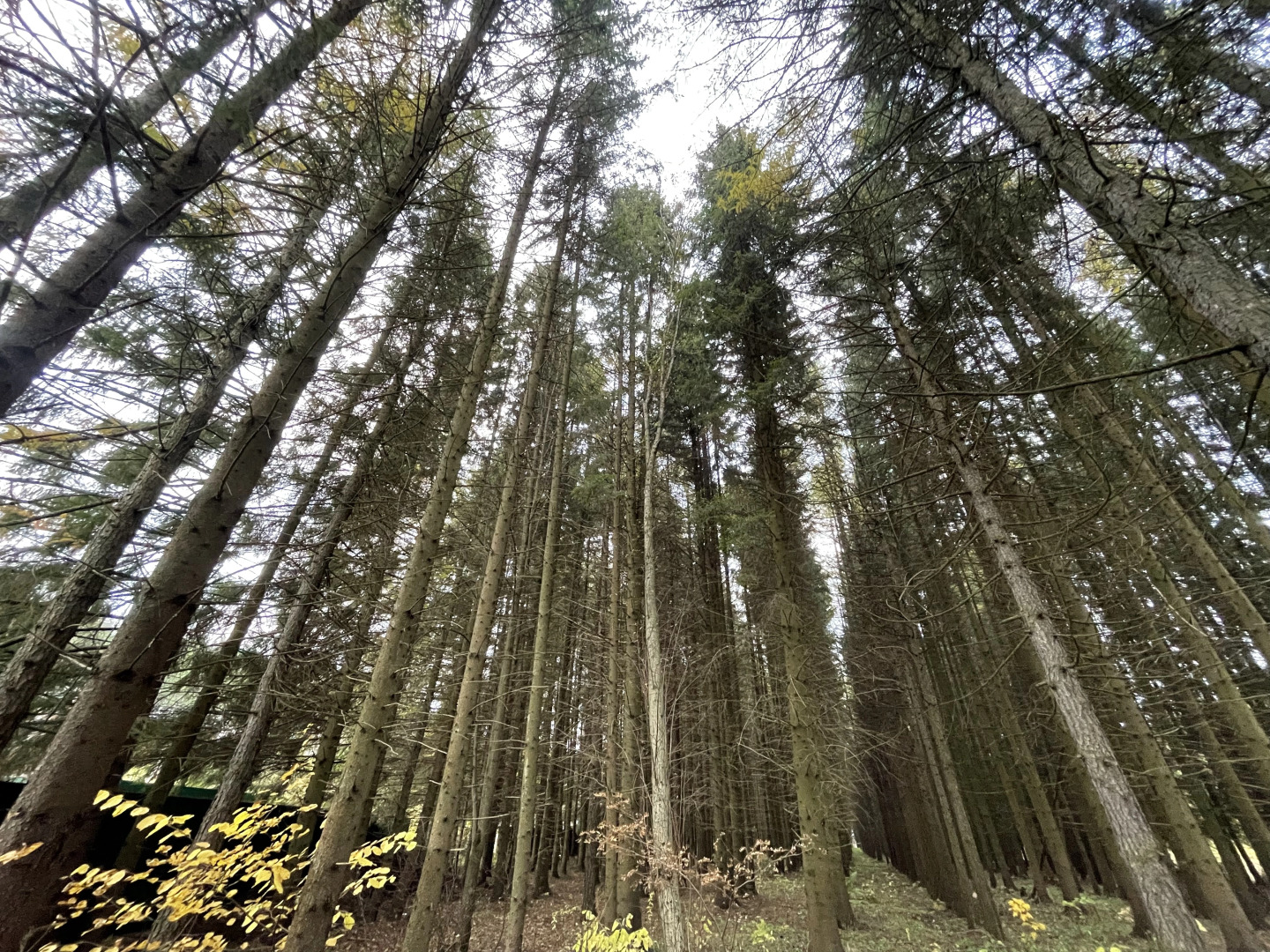 Гостевой дом На Заре