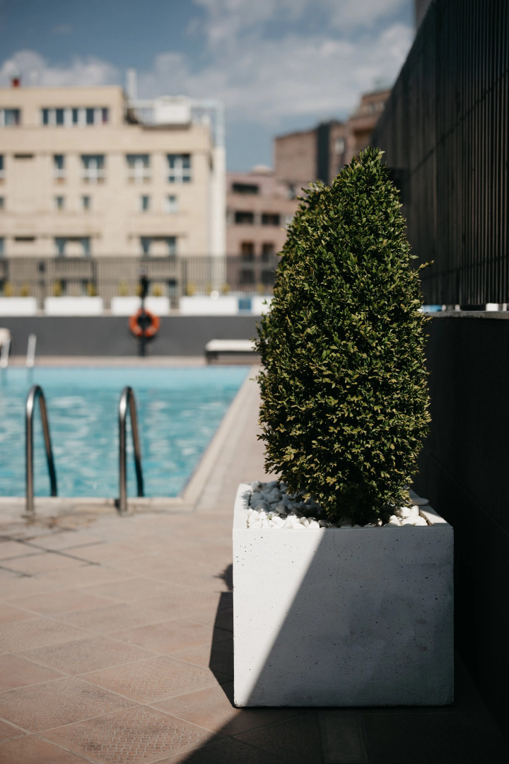 Отель Grand Hotel Yerevan