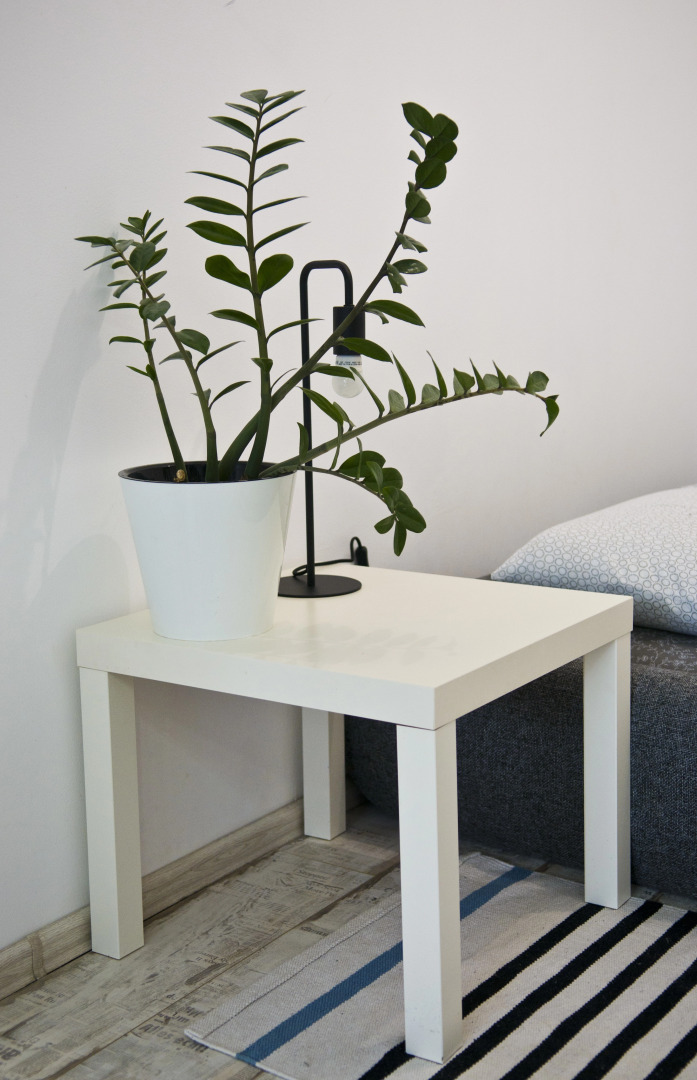 Квартира Студия от Vgosti61 Черное на Белом