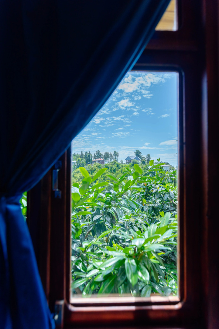 Частный дом TreeHouse GoldenSeaView TreeHouse