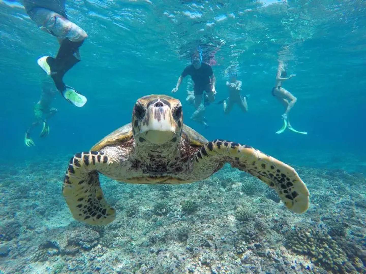 Гостевой Дом Holiday Cottage Maldives