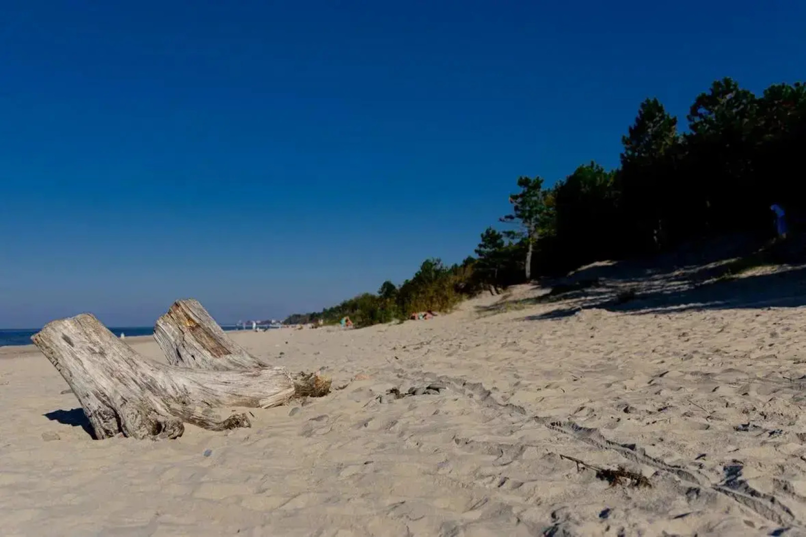 Гостевой дом у моря на Монетной