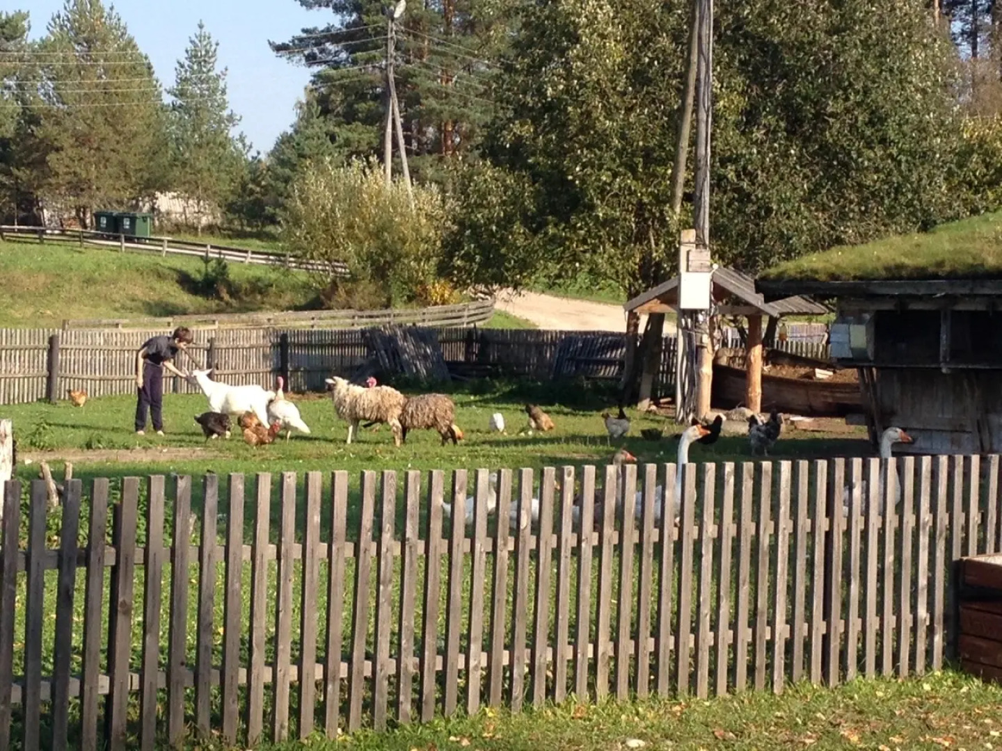 База отдыха Туристическая деревенька Экотель