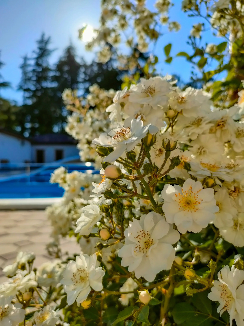 Отель Amra Sunrise