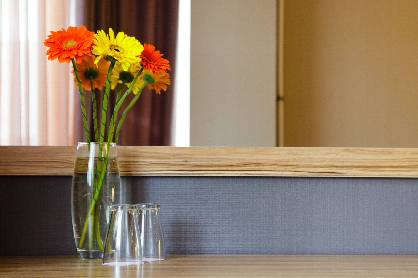 Отель Тесса