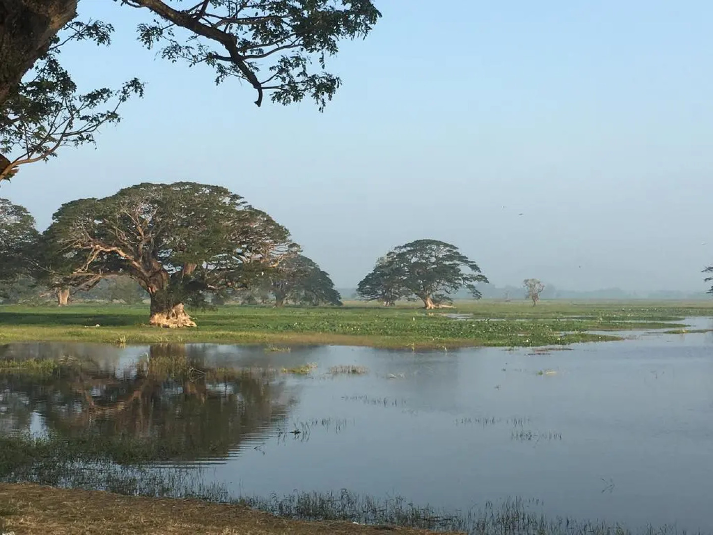 Отель Elephant Pass