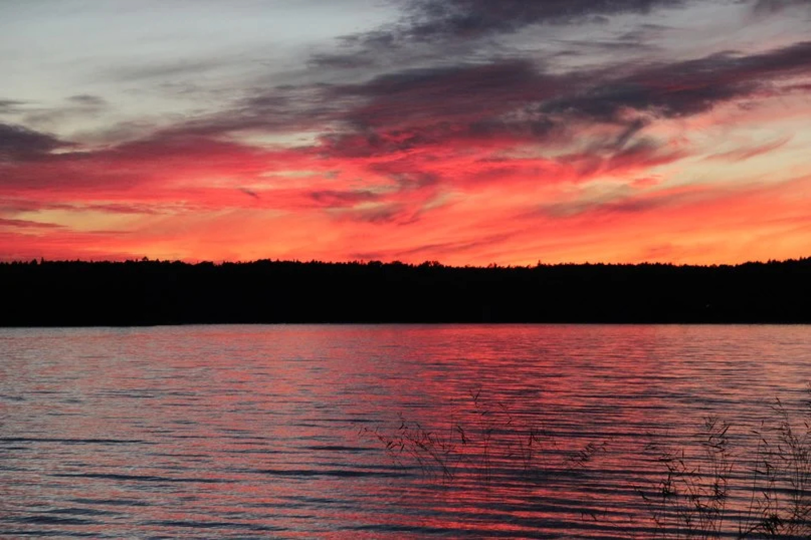 Коттедж Косалма